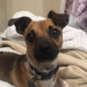 Meet your Posher, Carol